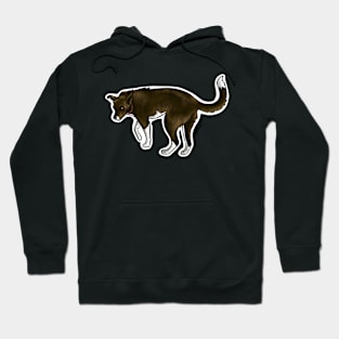 Luna — Dogs of Marble, Colorado Hoodie